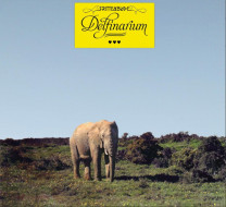 Frittenbude - Delfinarium (LP + MP3) Frittenbude - Delfinarium (LP + MP3)