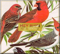 Hey Ruin - Irgendwas mit Dschungel (Audio CD)